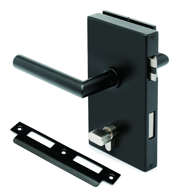 Frameless Glass Door Locks